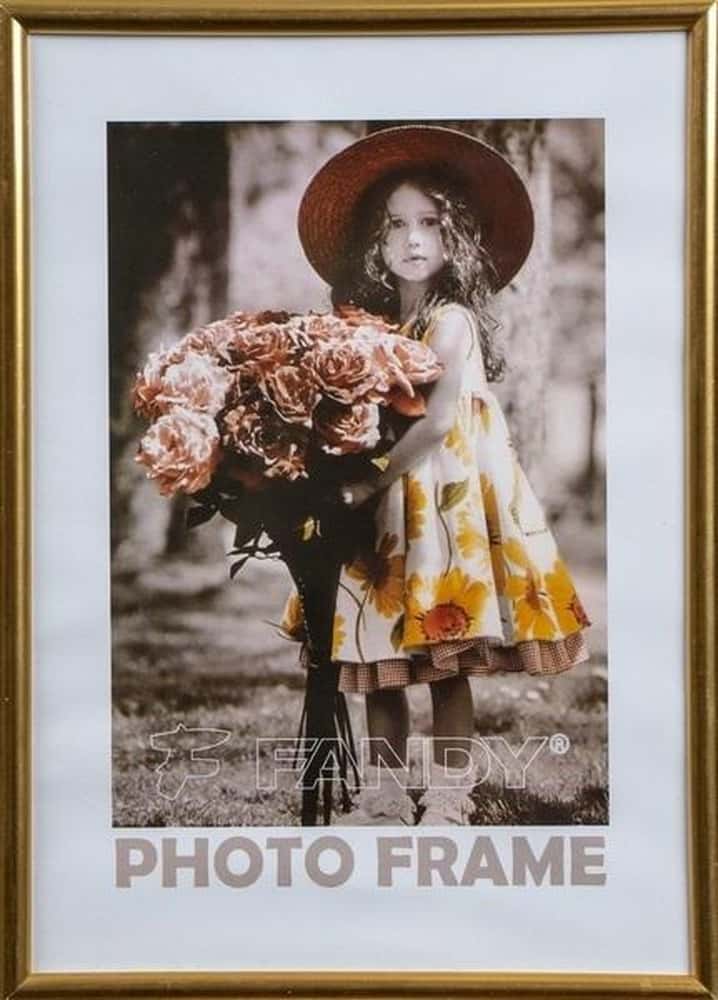 FANDY Simple 2 Frame 30x40 cm - ideal for living room