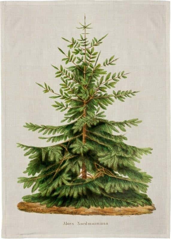 Kitchen towel Holy Fir BN - cotton and festive