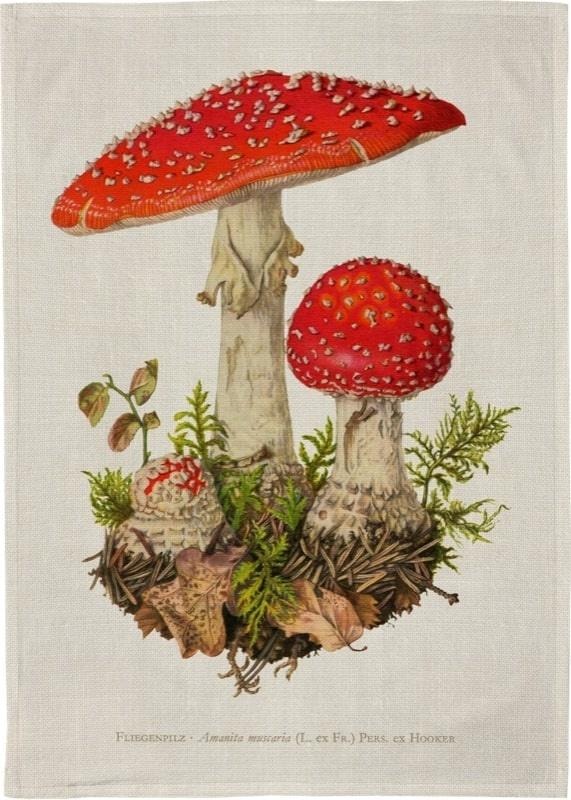 Skona Ting Kitchen towel - Mushroom cotton 50 x 70 cm