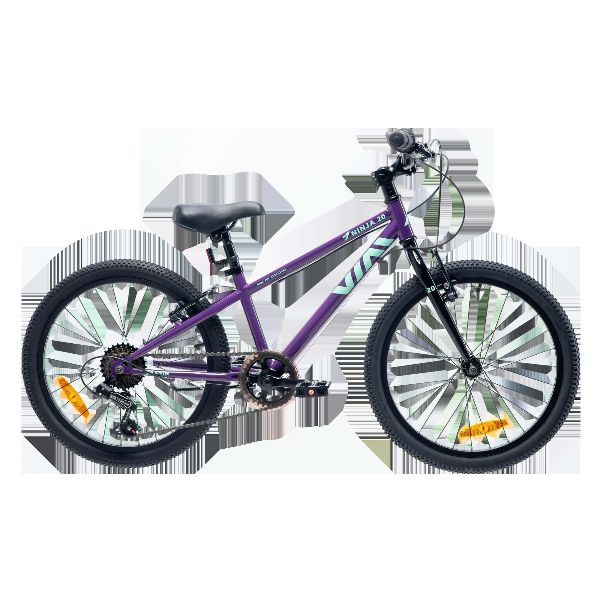 Ninja Children's Bike 20 inch - perfect for first adventures