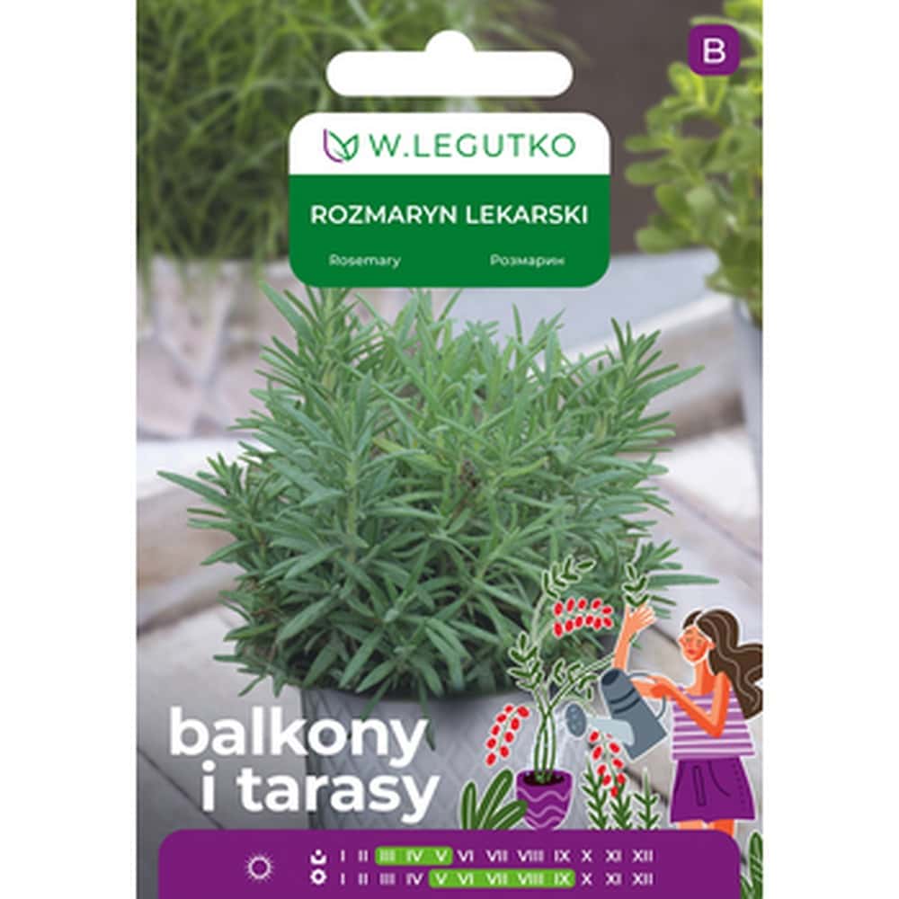 Legutko Rosemary - aromatic spice for your kitchen