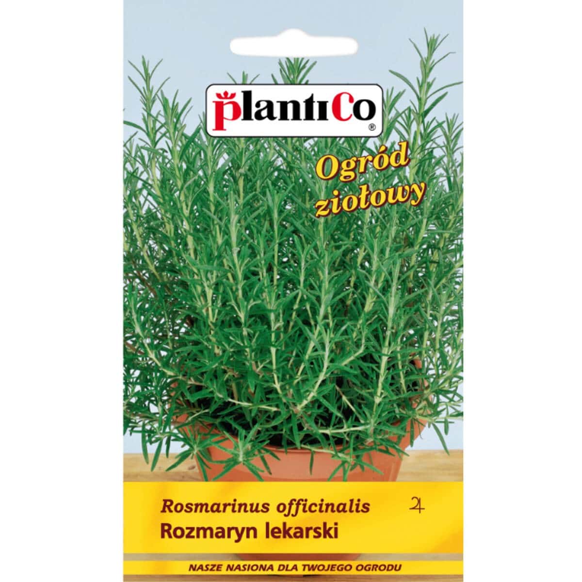 PlantiCo Rosemary - aromatic herb for your garden