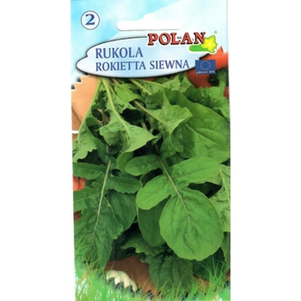 Rocket Polan - fresh and spicy, ideal for salads