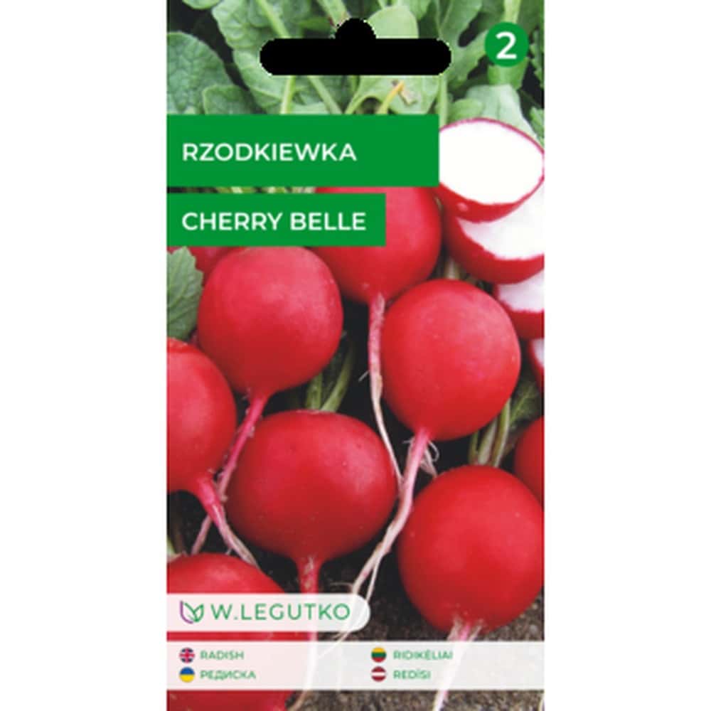 Radish Cherry Belle - ideal for spring salads