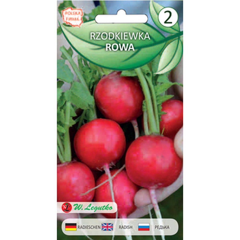 Radish Rowa Round - Crispy and fresh straight from the garden