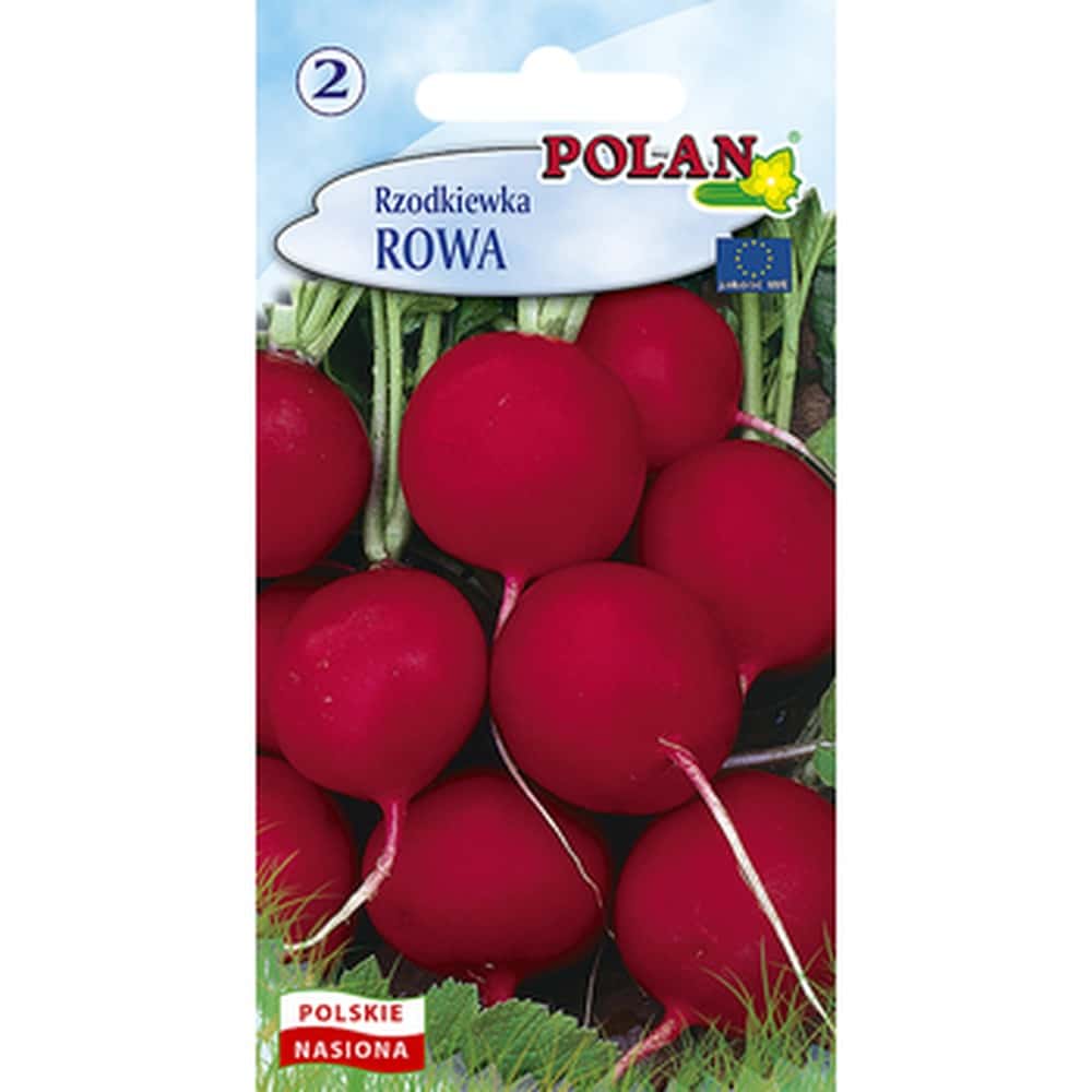 Radish Rowa Polan - early variety with delicate taste