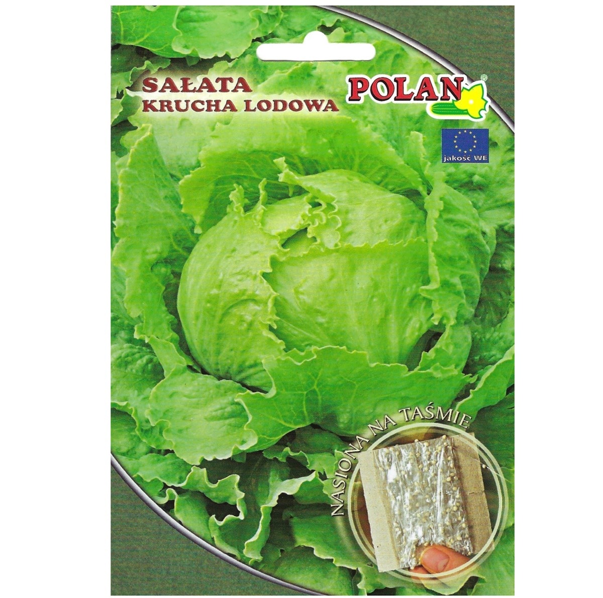 PlantiCo Crisphead lettuce - late variety ideal for salads