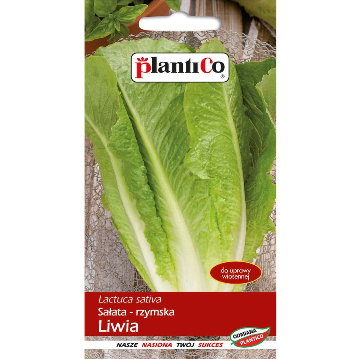 Plantico Romaine Lettuce Liwia - ideal for spring salads