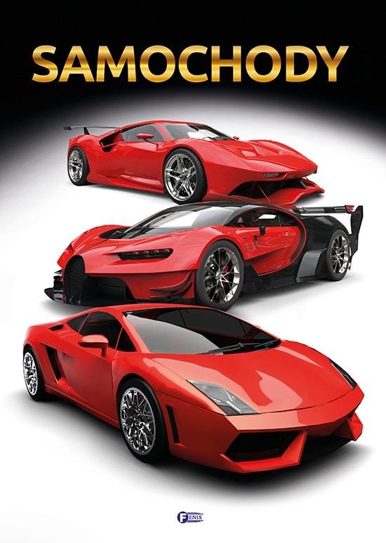 Book Cars - perfect gift for a car enthusiast