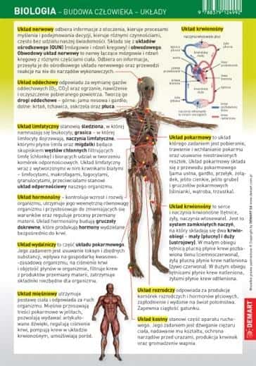 Demart Biology Human Anatomy - Systems Educational Card