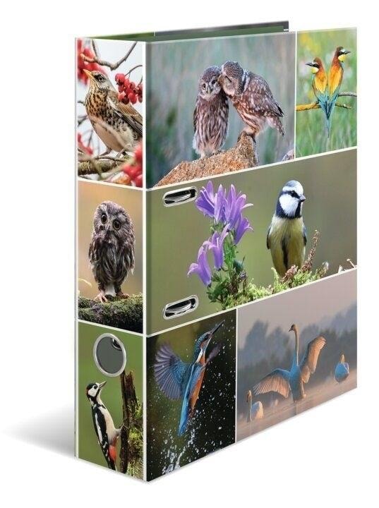 A4 Binder - Birds - ideal for organizing documents