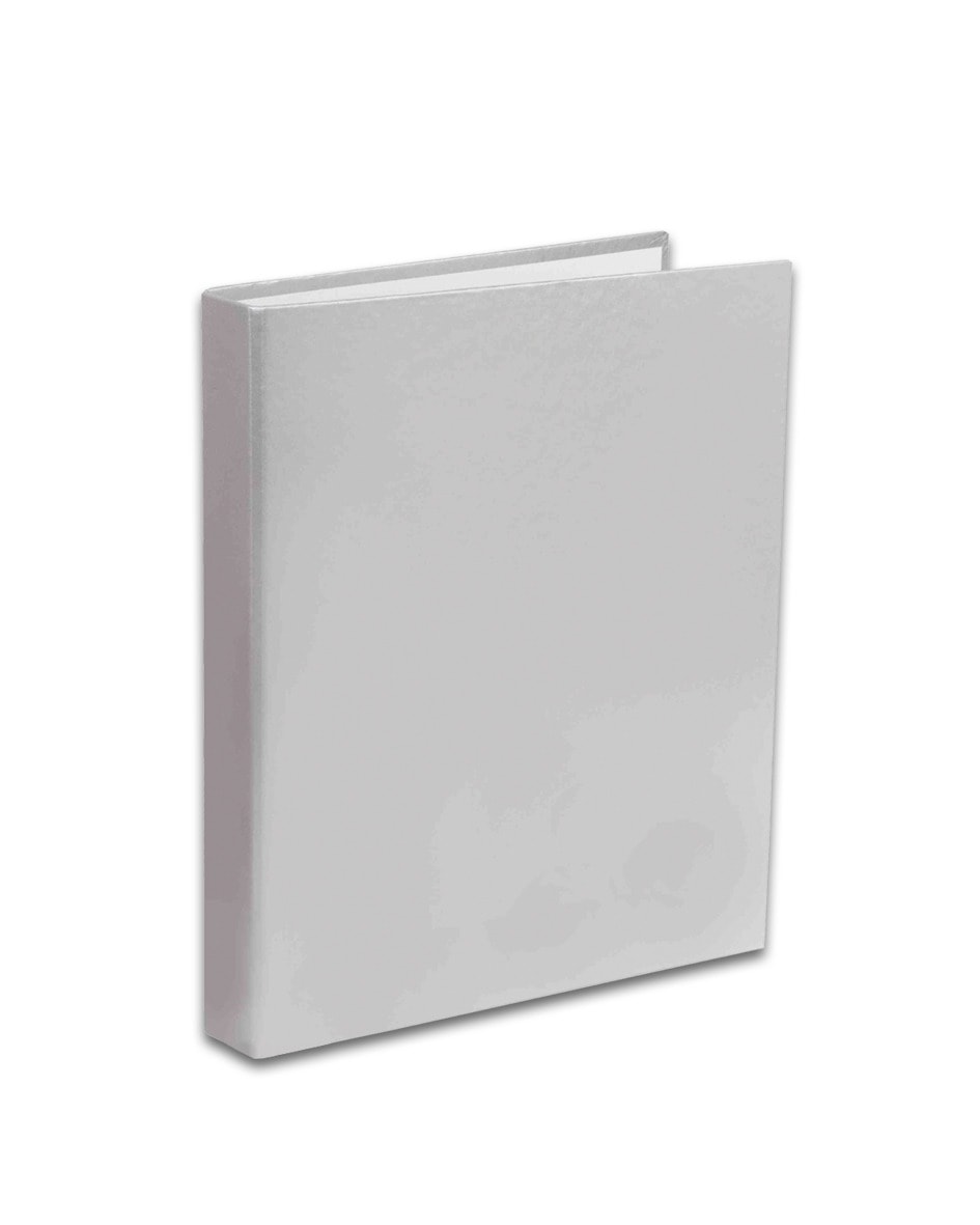 Segregator A5/2R srebrny Penmate