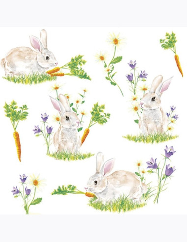 Serwetki DAISY Lunch SD 330x330 Urodziny dziecko 045201