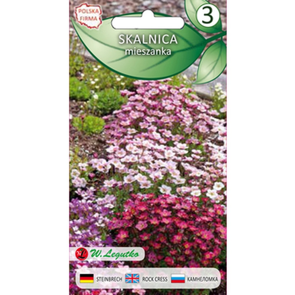 Saxifrage mix - perennial flower seeds for your garden