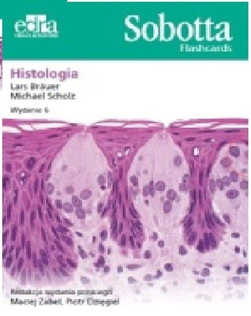 Sobotta Flashcards Histology - cards for learning anatomy with illustrations