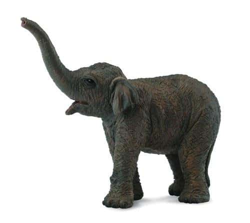 Collecta Asian Elephant Calf Figure - realistic model for collectors