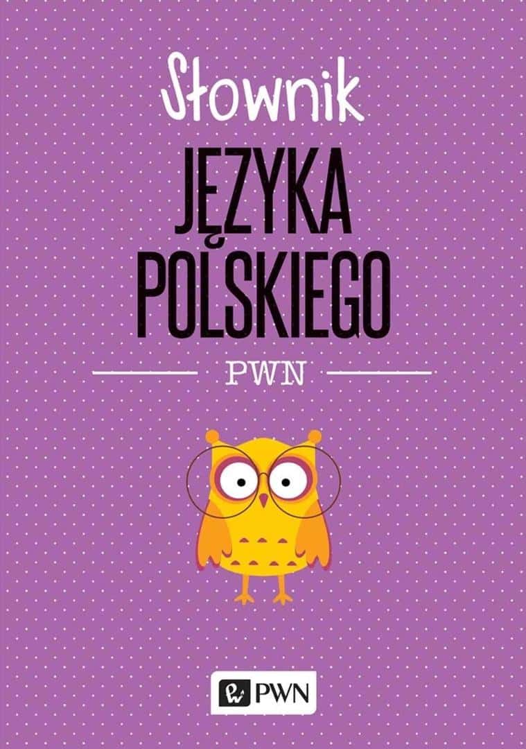 PWN Polish Language Dictionary - Lidia Drabik - indispensable learning aid