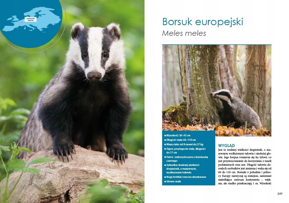 VIRIDIA AB - Album "Carnivorous Mammals of Europe" - discover European fauna