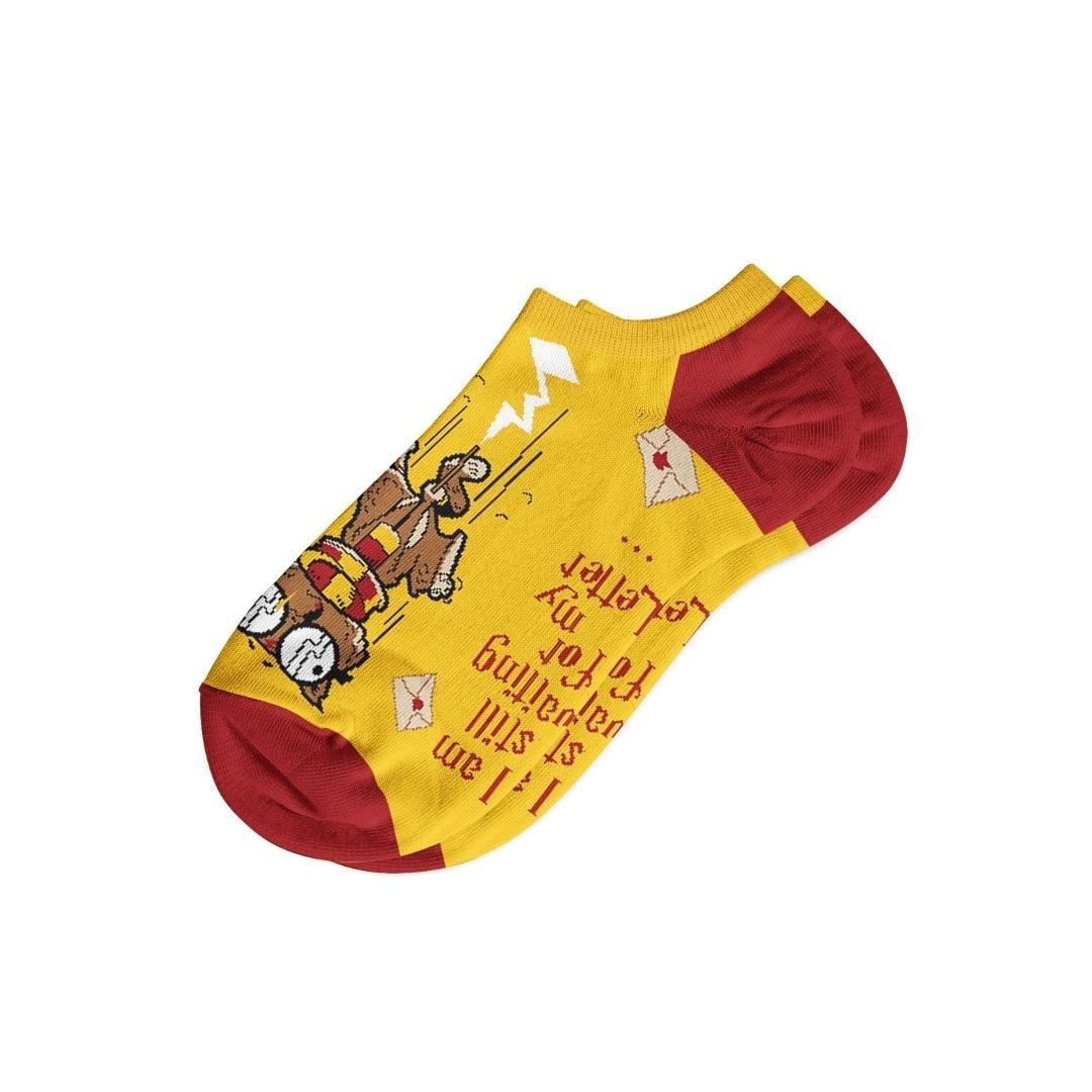 Wybraniec - Socks for men and women size 42-46 - perfect for bookworms