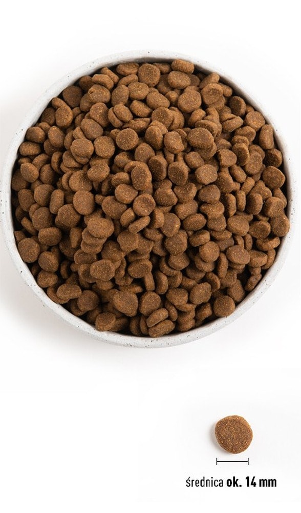 Orijen Regional Red - Dry dog food 11.4 kg for health and vitality