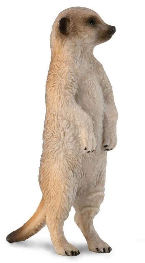 Collecta Meerkat grey S - collectible figure ideal as a gift