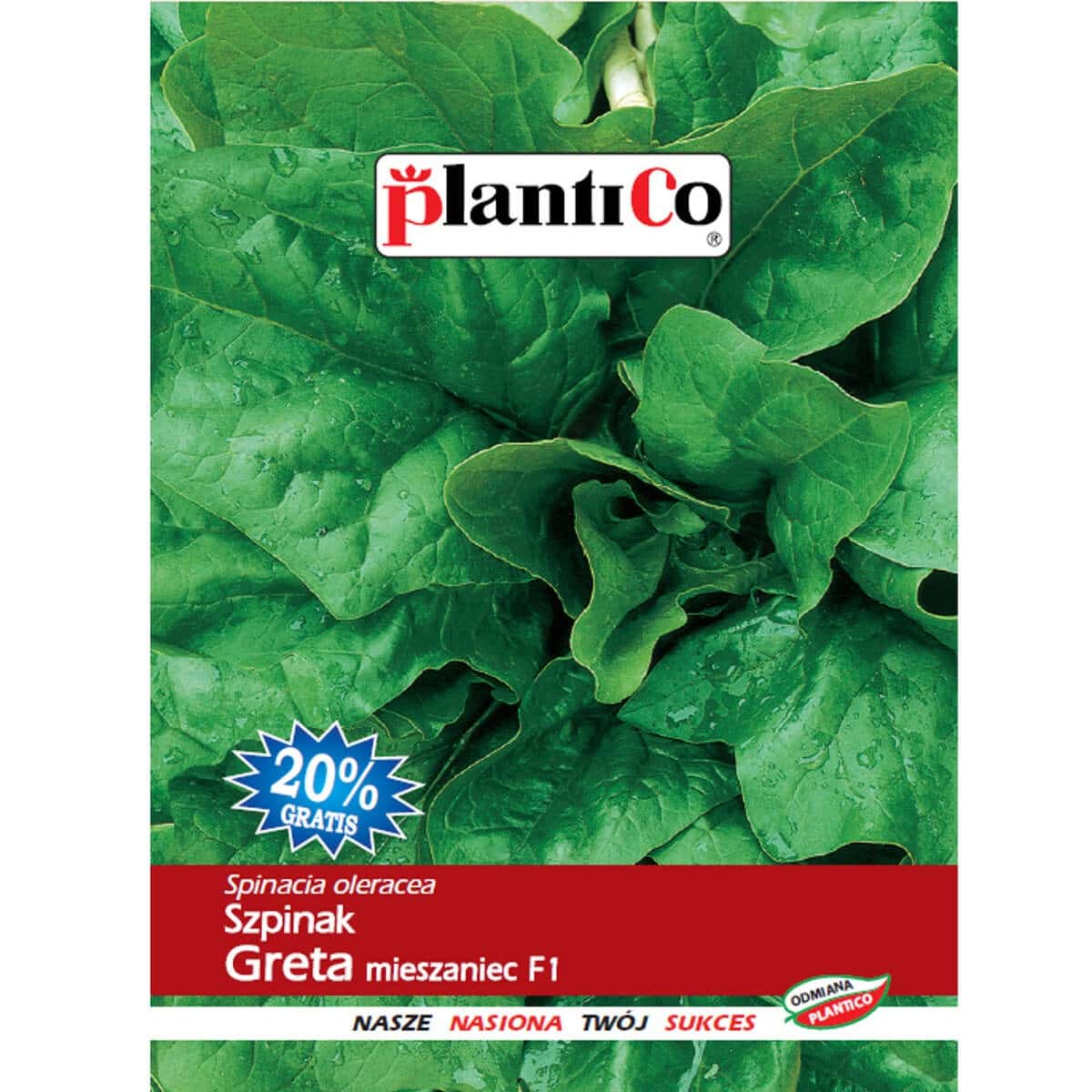 Plantico Spinach Greta F1 - seeds ideal for your garden