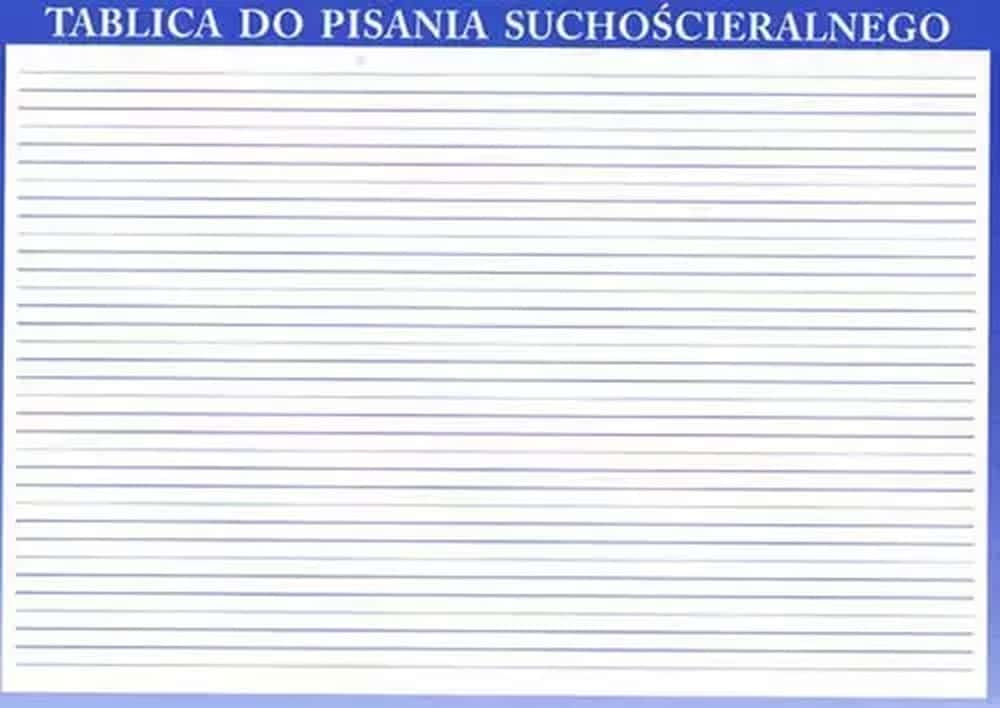 A4 Dry Erase Board - ideal for learning and fun