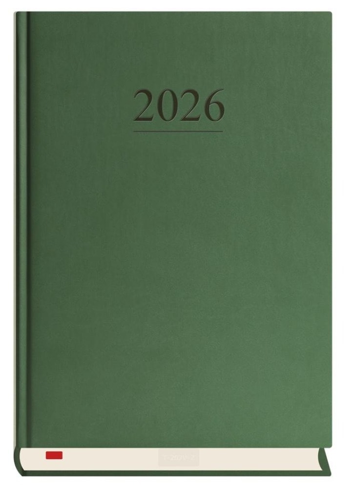 Diary 2026 A5 daily Manager green - perfect for planning