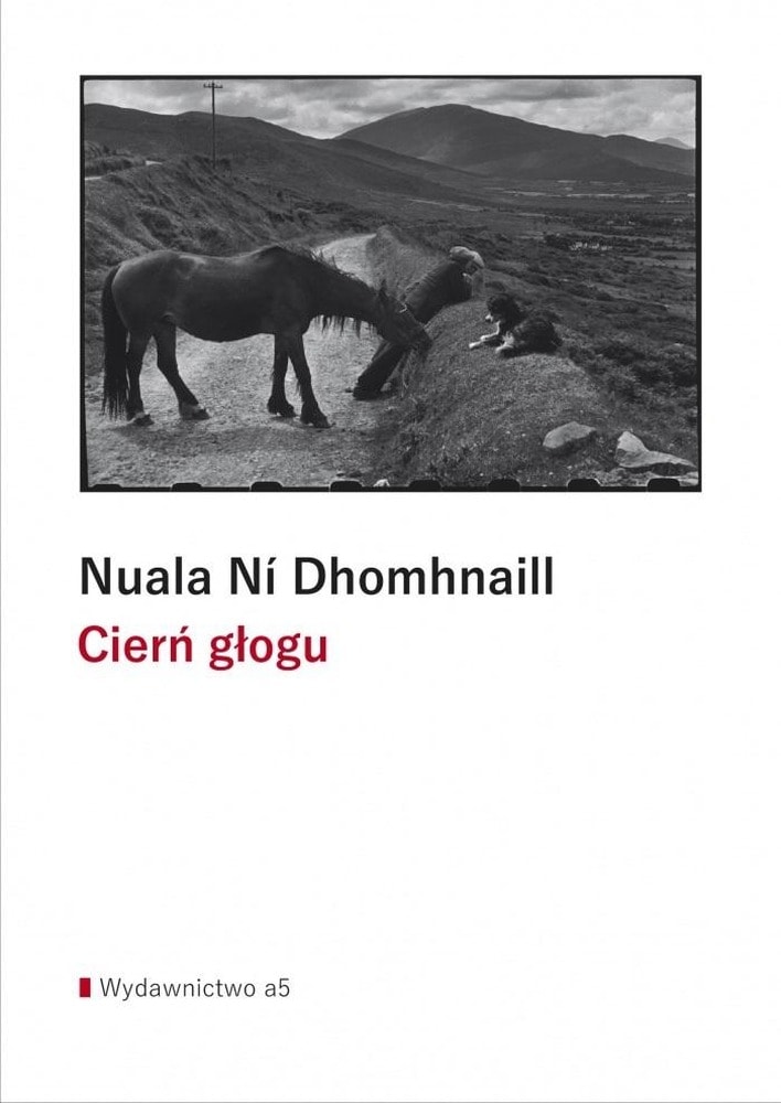 Nuala Ní Dhomhnaill - Hawthorn Thorn - poetry collection