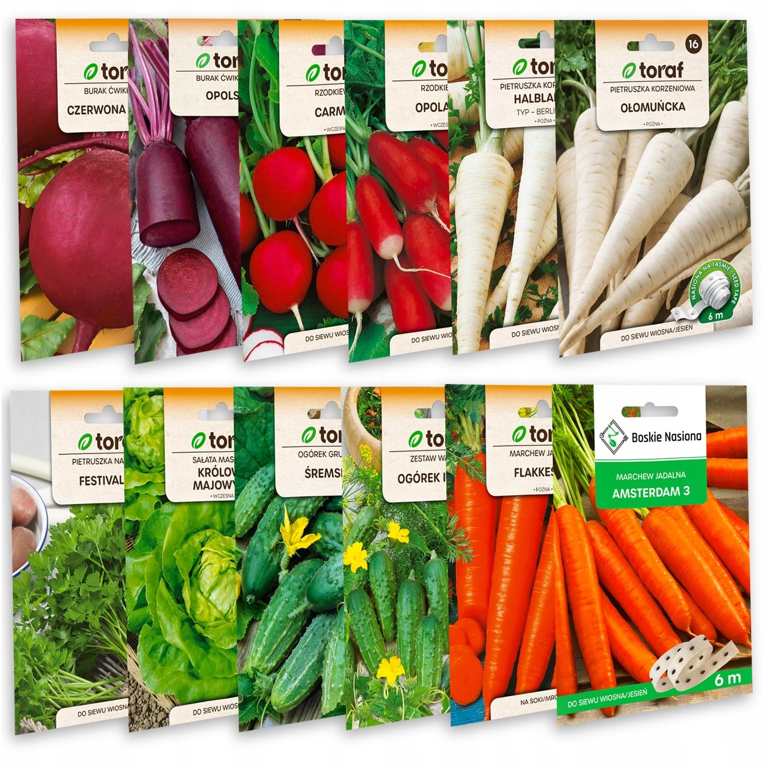 TORAF Zestaw Nasion - SET 1+2+3+4+5+6 2024 TORAF 63x1szt