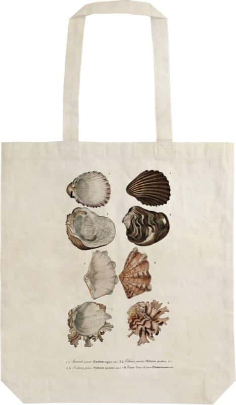 STBAG 51 Shells - Cotton Shoulder Bag Shopper