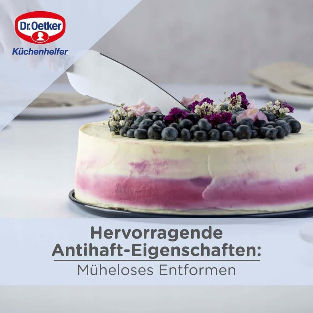 Dr. Oetker Enamelled Springform 28 cm - perfect for baking cakes