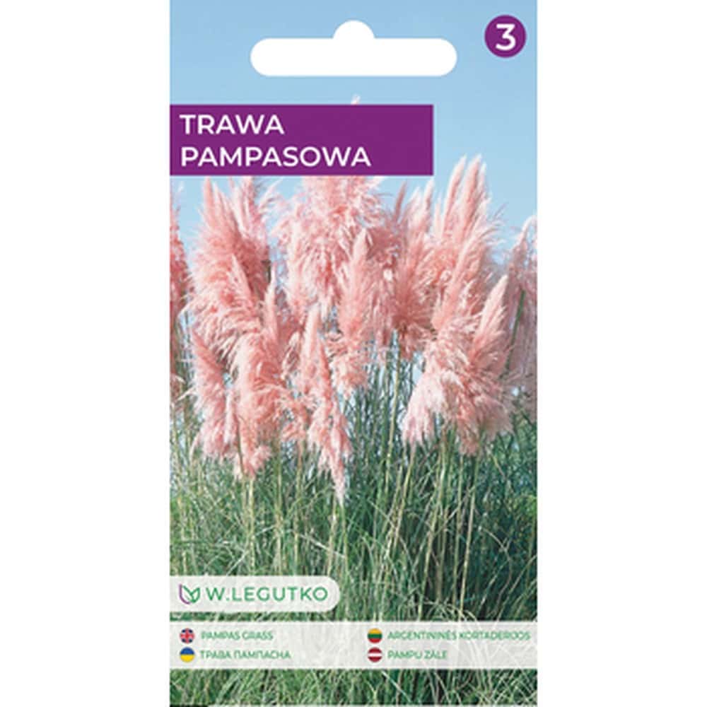 Pink Pampas Grass - Cortaderia Selloana - decoration for every garden