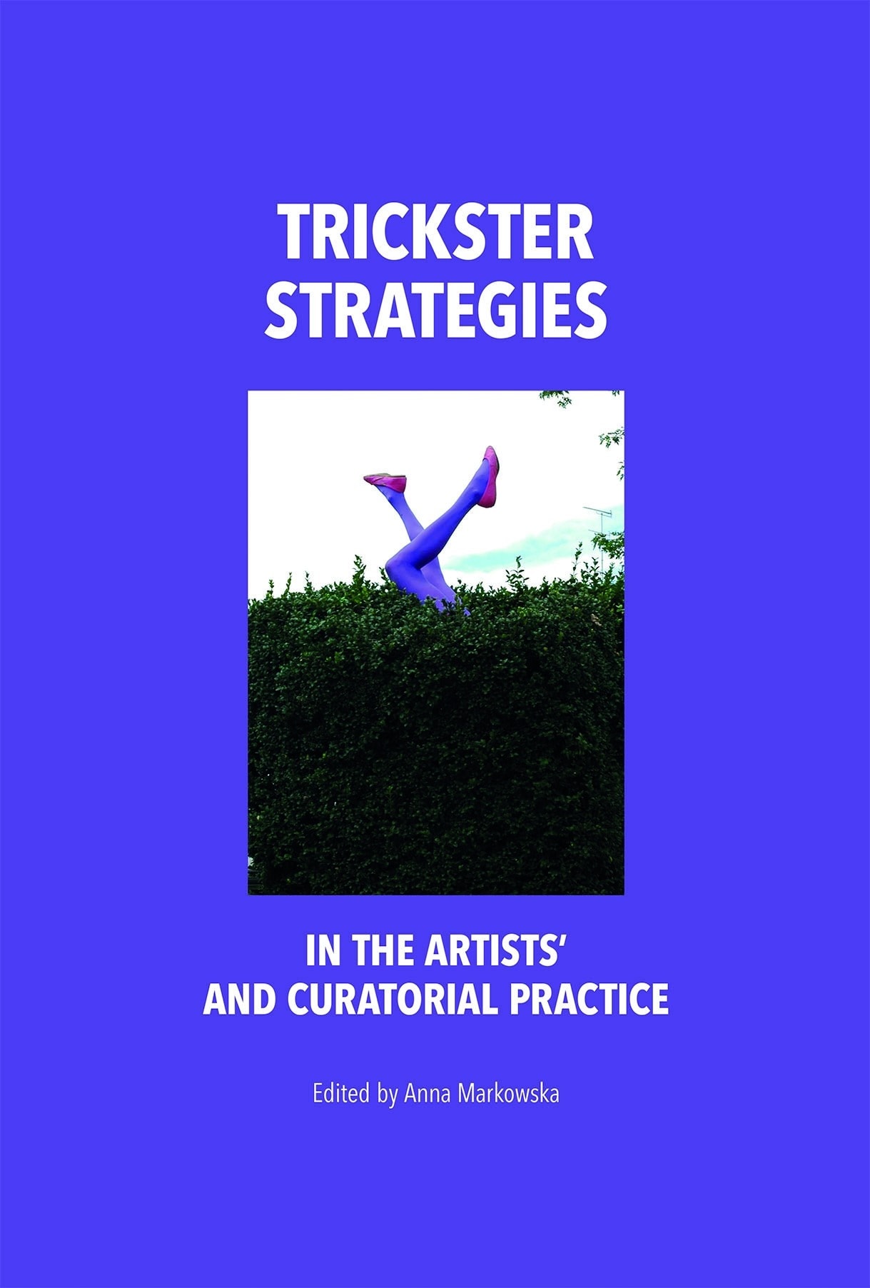 Trickster Strategies - The art of unmasking hypocrisy