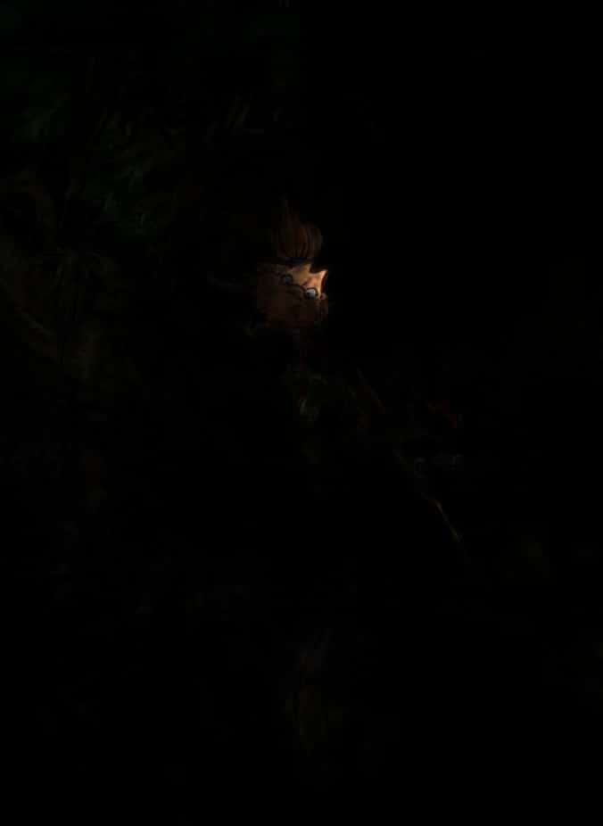 Trolls of Troy T.6 - Christophe Arleston, Jean-Louis Mourier, Maria Mo - Album full of humor and fantasy