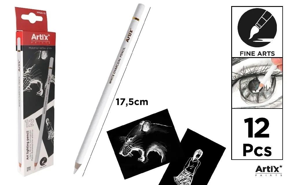 White drawing charcoal - set of 12 for sketching