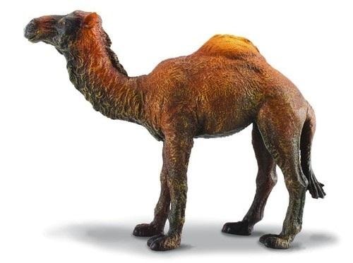 Collecta Dromedary Camel - Collectible figure ideal for children and collectors