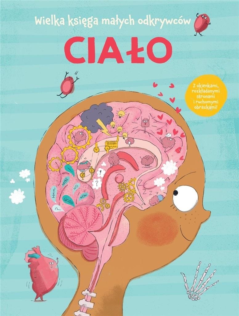 Yoyo Books The Human Body. The Big Book of Little Explorers - interactive adventure for your child