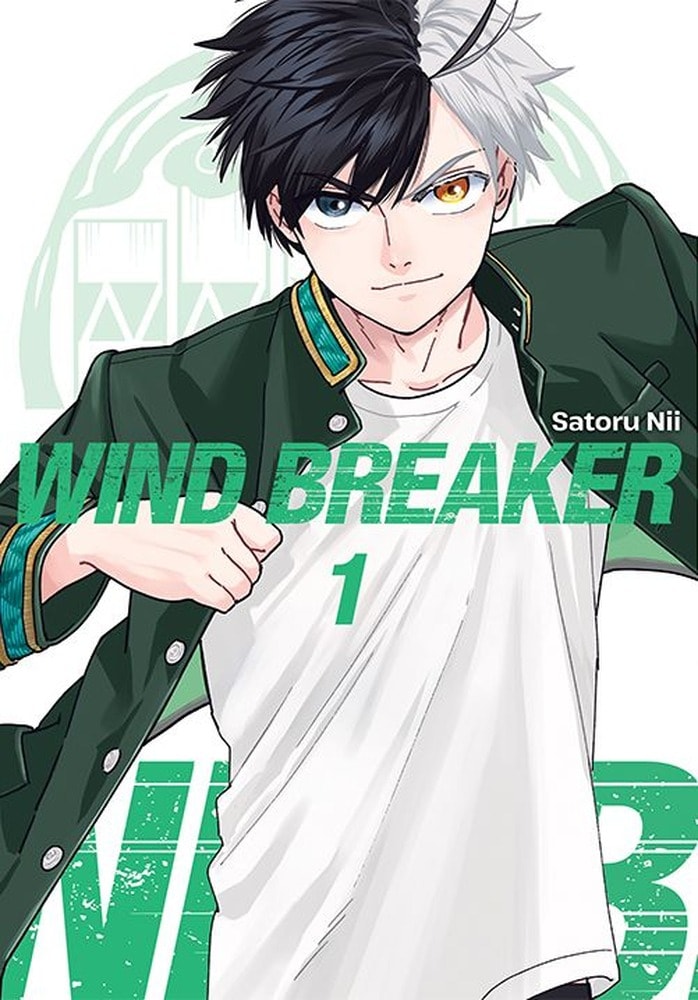 Wind Breaker. Tom 6