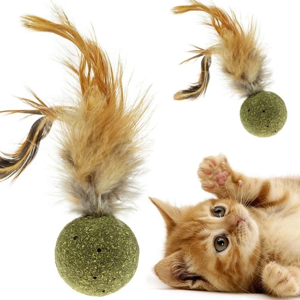 Toy with catnip and feathers - ideal for your cat