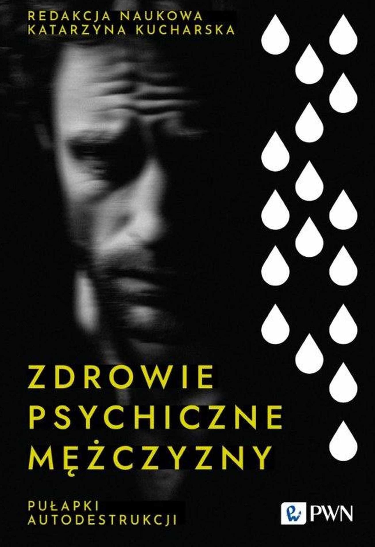 Zdrowie psychiczne mężczyzny. Pułapki autodestrukcji - Poradnik