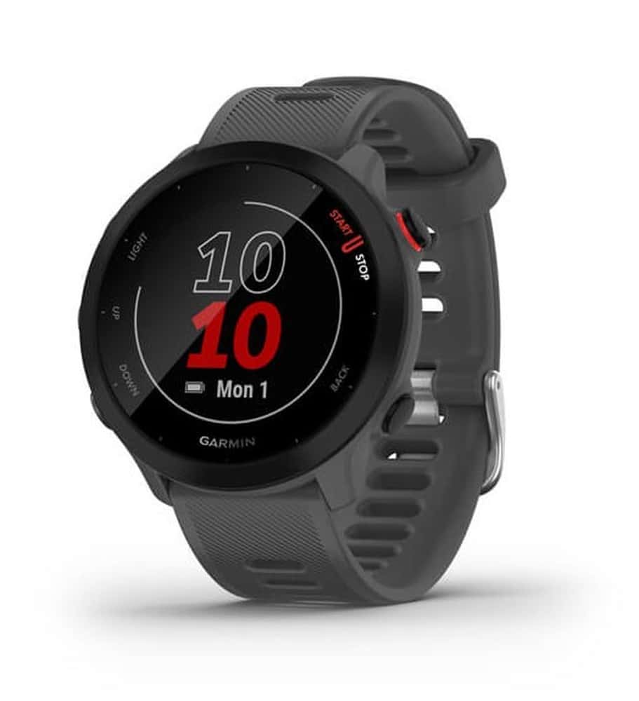 Garmin Forerunner 55 42mm - sports watch monterra grey