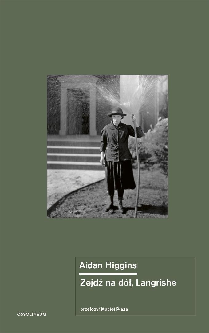 Aidan Higgins - Langrishe, Go Down - novel about transience