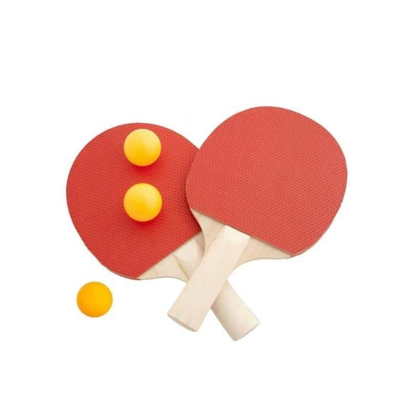 Table tennis set - perfect as a gift