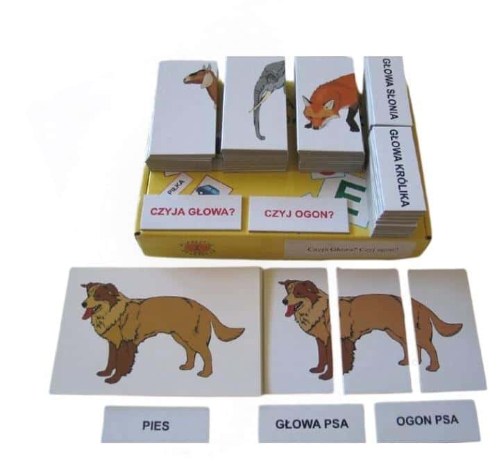 Arson Educational set Whose head? Whose tail?