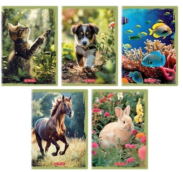 Animals A5 Notebook 16 Plain Pages - perfect for school and home