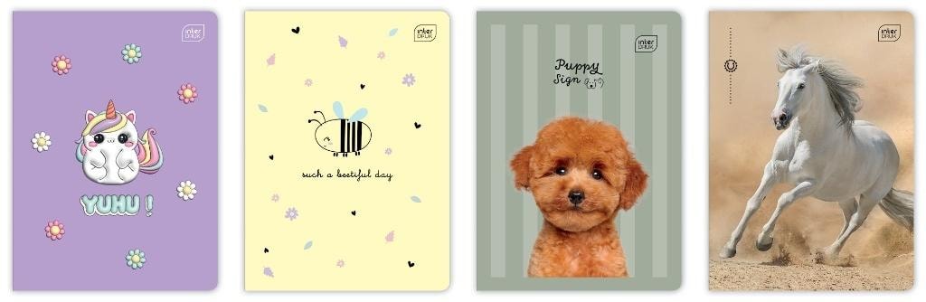 Interdruk A5 Notebook 16 sheets grid 70g UV Girls mix (20 pieces) - ideal for school