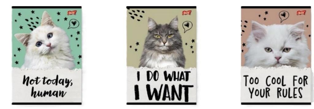 Unipap A5 Notebook 32 sheets squared Caturday (15 pcs) - ideal for school