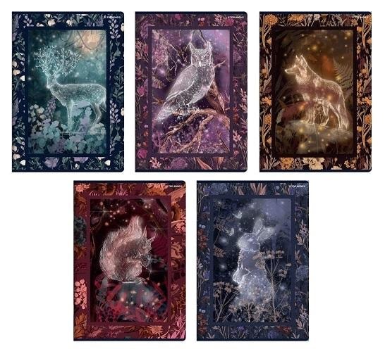 Fairytale A5 Notebook 60 sheets squared - 10 pieces magical notes