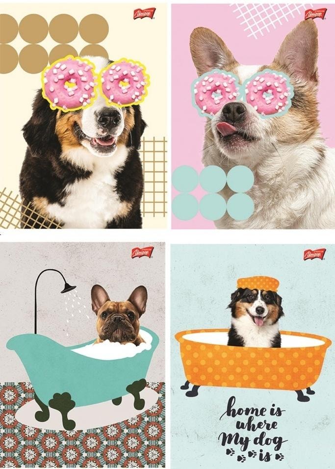 Ateneum A5 Notebook 60 sheets lined Funny Dog (10pcs) - ideal for school